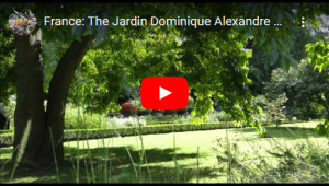 2023 Video Namur V 300