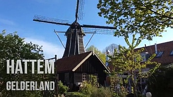 5 2017 hanzesteden k